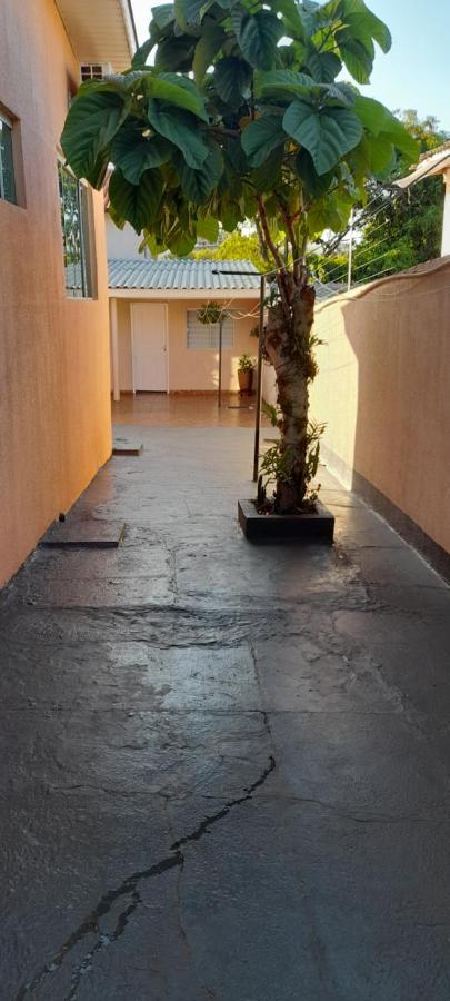 Studio Proximo Ao Centro E Corredor Turistico Foz do Iguacu Ngoại thất bức ảnh